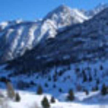 Amigo's & Beer Mexican Grill